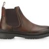 Ambitious Santi 12317 7129AM - Brown