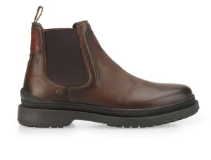 Ambitious Santi 12317 7129AM - Brown