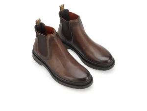 Ambitious Santi 12317 7129AM - Brown