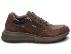 Ara 11-37801-14 Arizona - Moro Blue