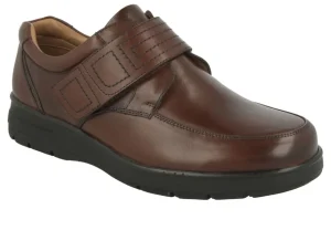 DB Easy B Bahamas - Brown