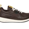 Ecco BIOM 2.2 GTX 830814 61061 - Brown Olive