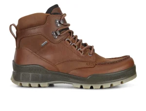 Ecco Gore-Tex Track 25 M 831704 52600 - Brown